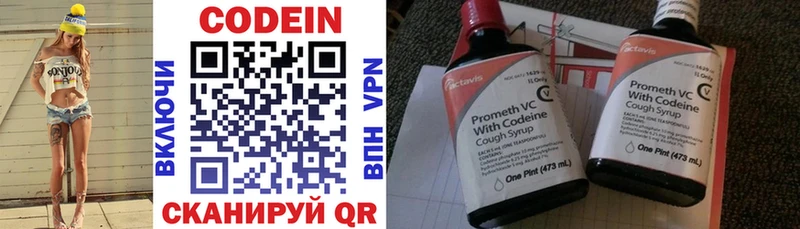магазин продажи наркотиков  Новозыбков  Codein Purple Drank 