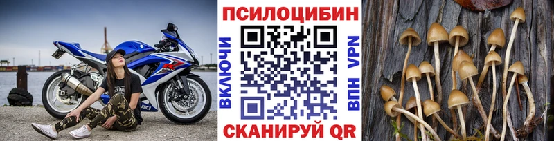 даркнет сайт  hydra маркетплейс  Псилоцибиновые грибы Magic Shrooms  Новозыбков 