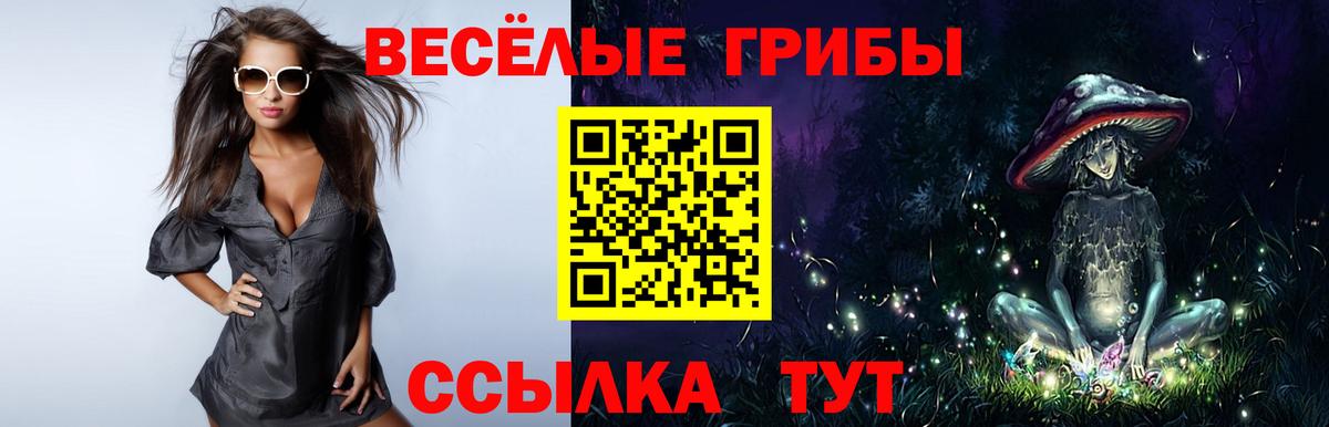 Галлюциногенные грибы ЛСД  Вход с VPN  Новозыбков 
